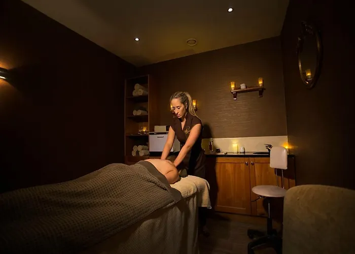 Hotel Carrickdale & 4*